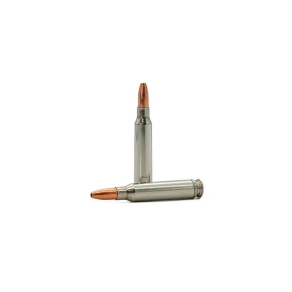 Shell Tech 5.56 Ammo - Isolated Rounds