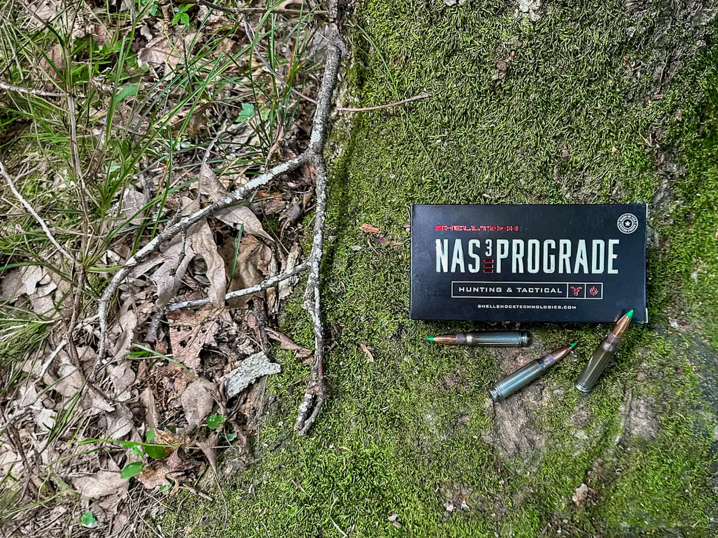 Corrosion-Resistant 308 Ammo box on bed of moss with loose bullets and branches surrounding the box